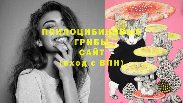 MESCALINE Вяземский